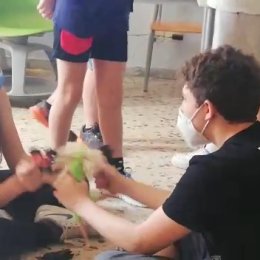 Interconnettiamoci